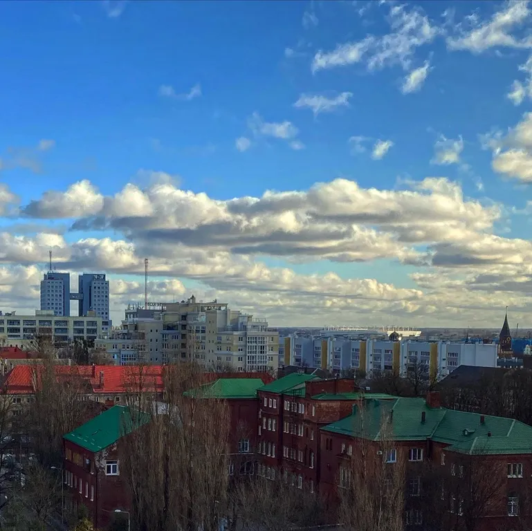 Квартира Уютные апартаменты в центре с видом на город — Калининград