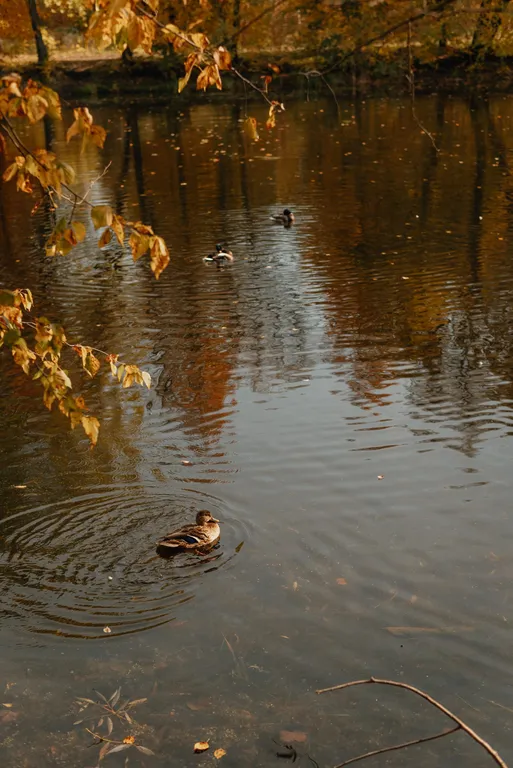 Атмосферная двухуровневая квартира с видом на Петропавловский парк
