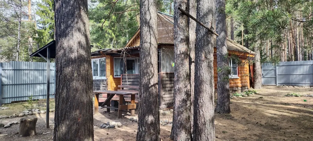 Коттедж Домик в лесу у озера — Турбаза Чайка