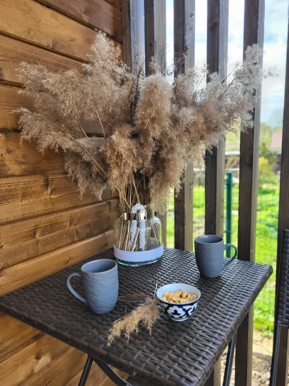 Стильный дом у озера Разлив