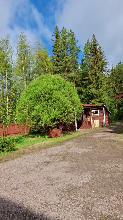 Уютный лесной домик