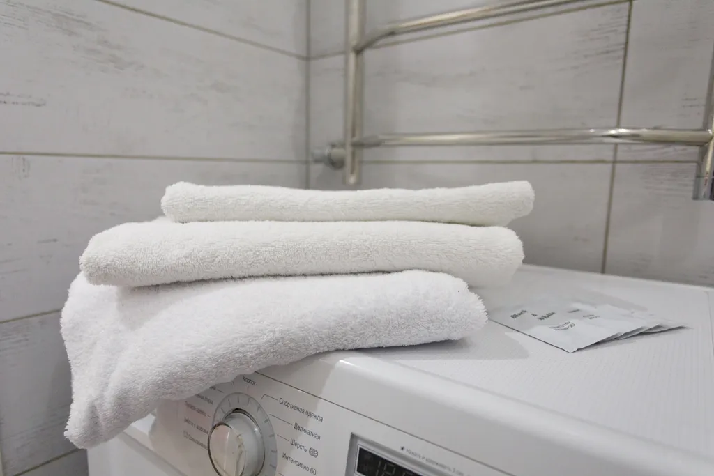 Просторная квартира в центре