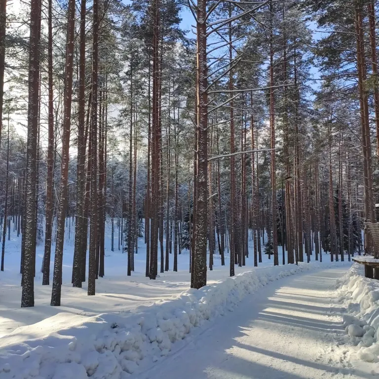 Коттедж Дом с сауной — Борисово
