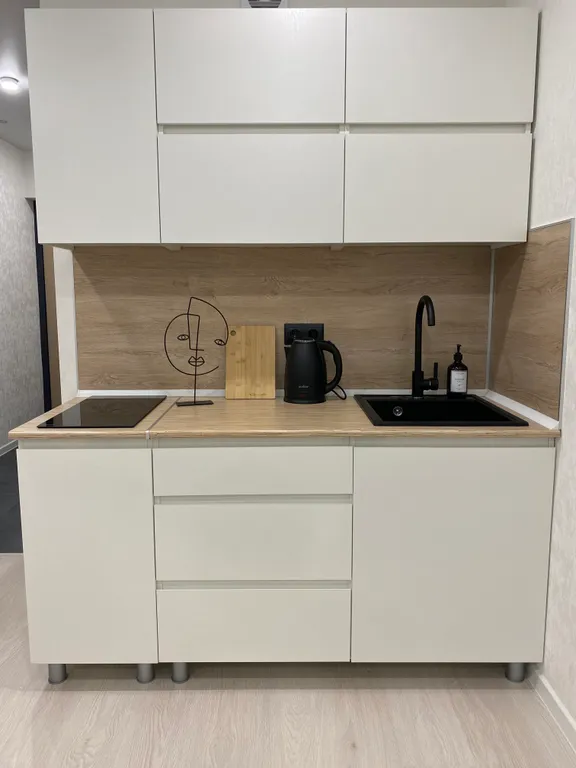 Прекрасная студия с видом на пруд