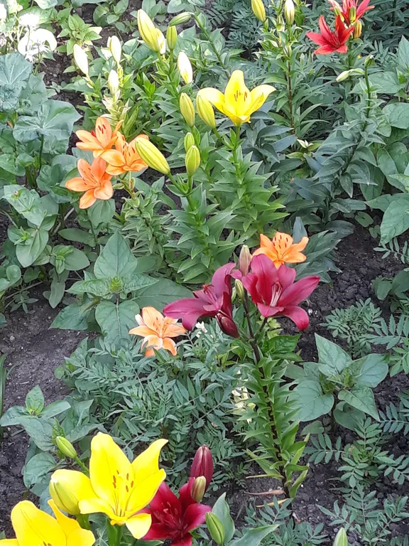 Коттедж Небольшой летний домик — Ейск