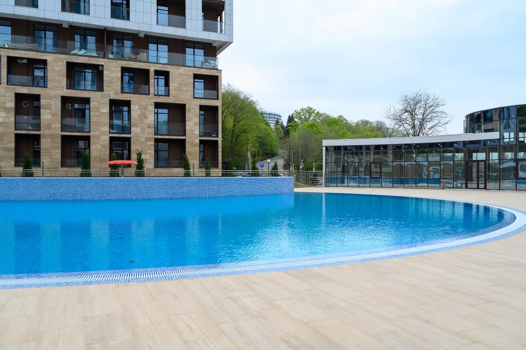 Студия с красивым видом на лесопарк