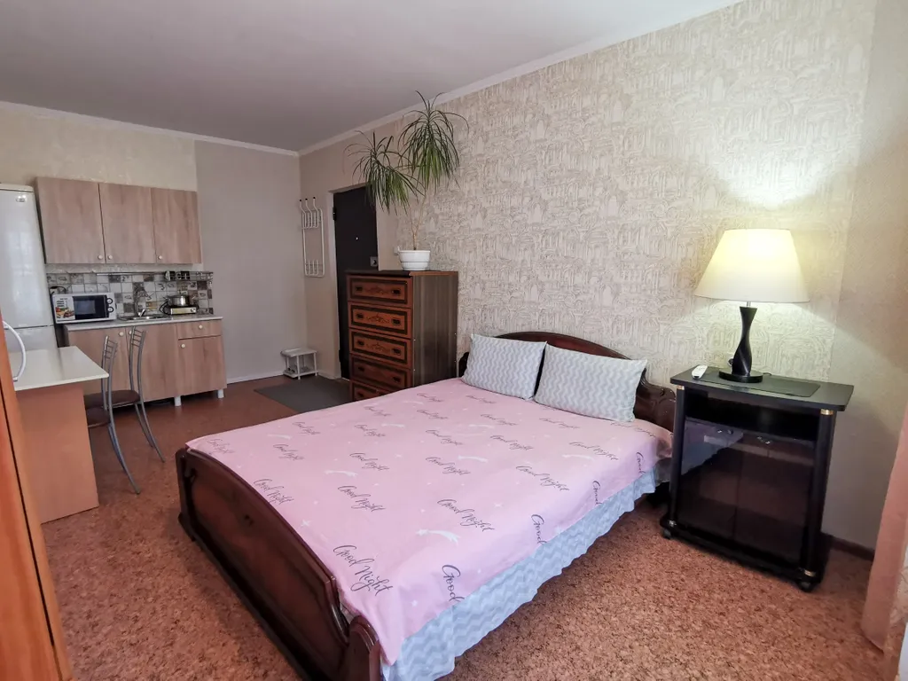 Квартира Уютная студия — аренда посуточно в Южно-Сахалинск