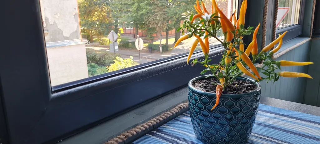 Колоритная квартира в немецком доме