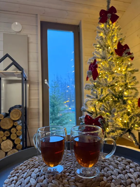 Дом с панорамным камином и видом на лес