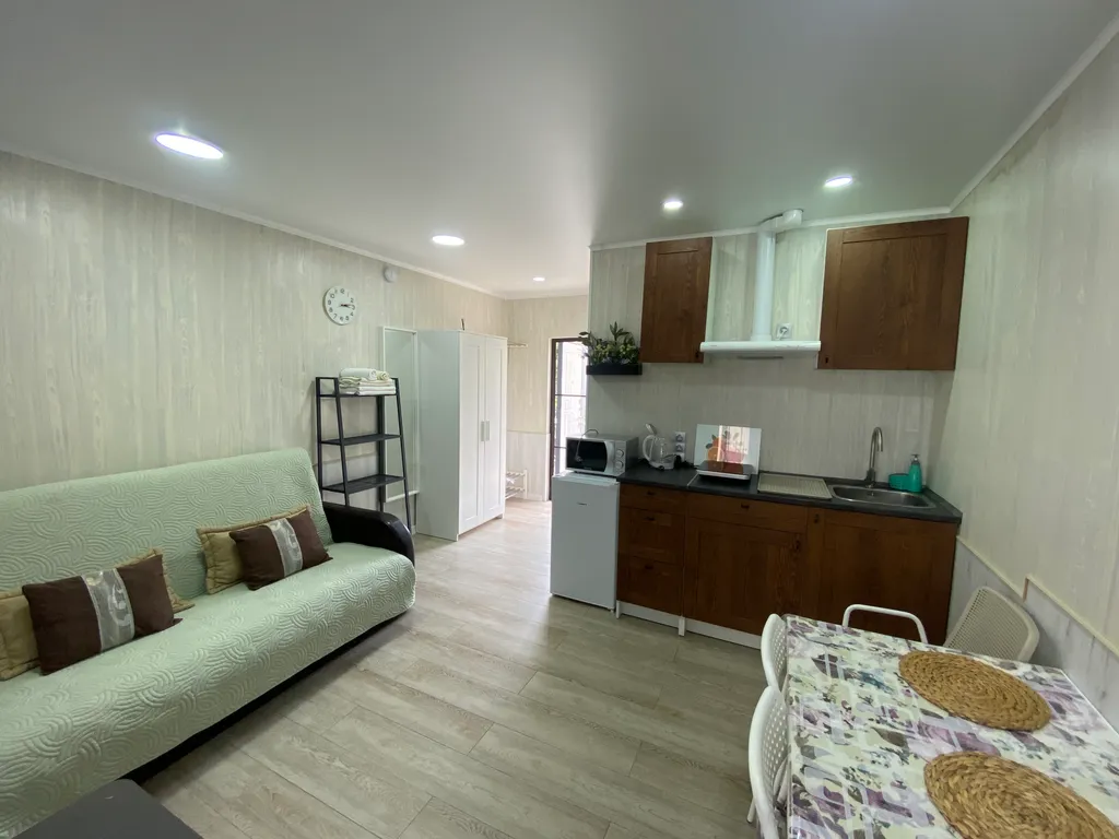 Квартира 1-комнатная Квартира — Сириус