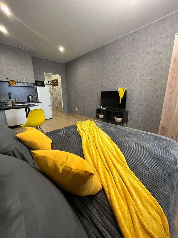 Уютная, комфортабельная квартира студия