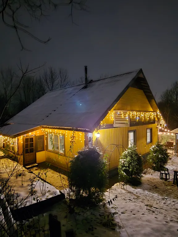 Уютный дом в центре Пушкинских Гор
