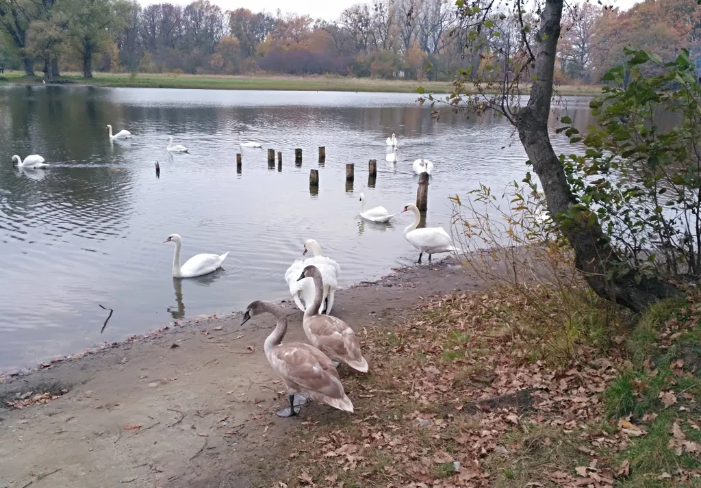 Люкс у парка со смарт тв, балконом, парковкой