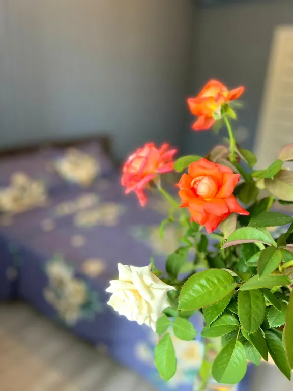 Красивая и чистая квартира