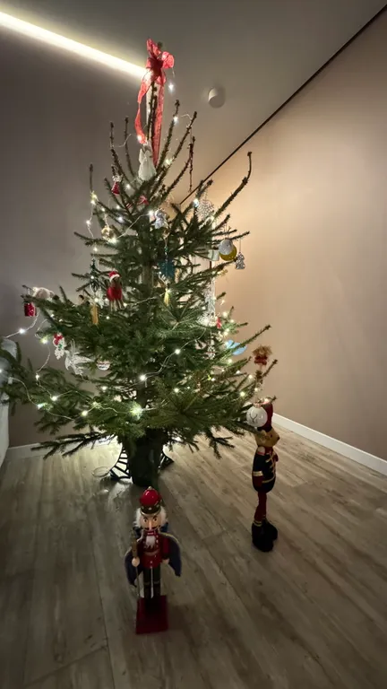 Luxvue семейные апартаменты с панорамным видом