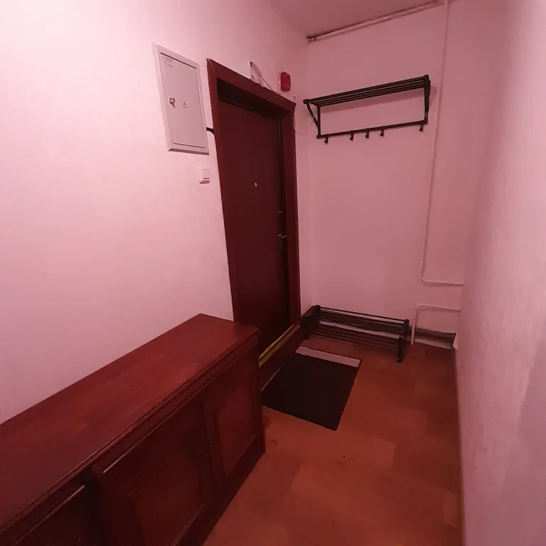 Однокомнатная квартира по типу евродвушки