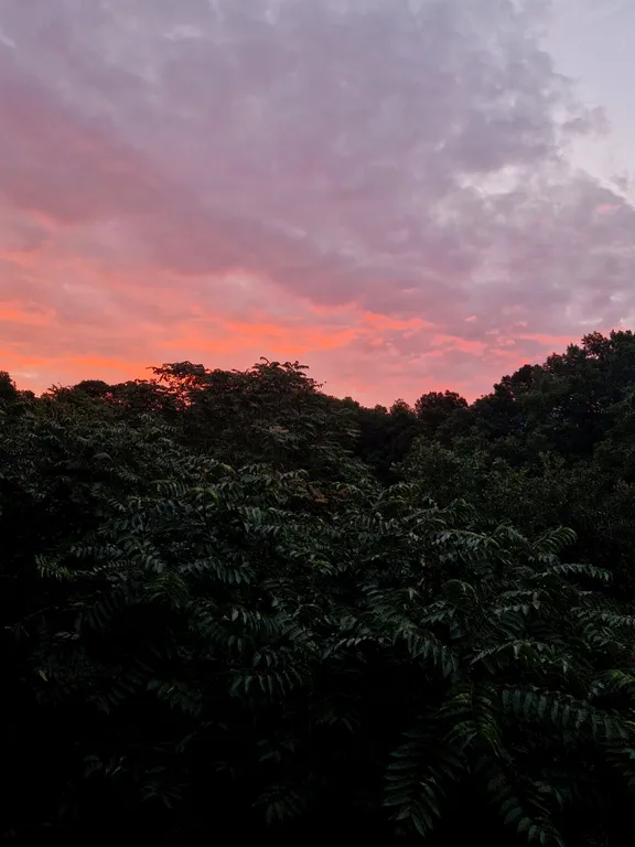 Комната в доме в лесу у моря