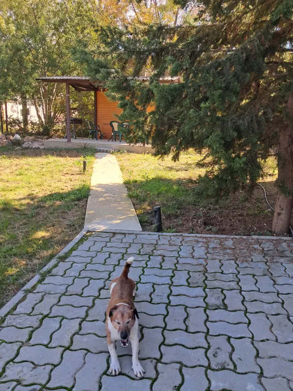 Уютный дом в байдарской долине