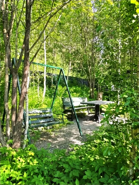 Дом в сосновом лесу