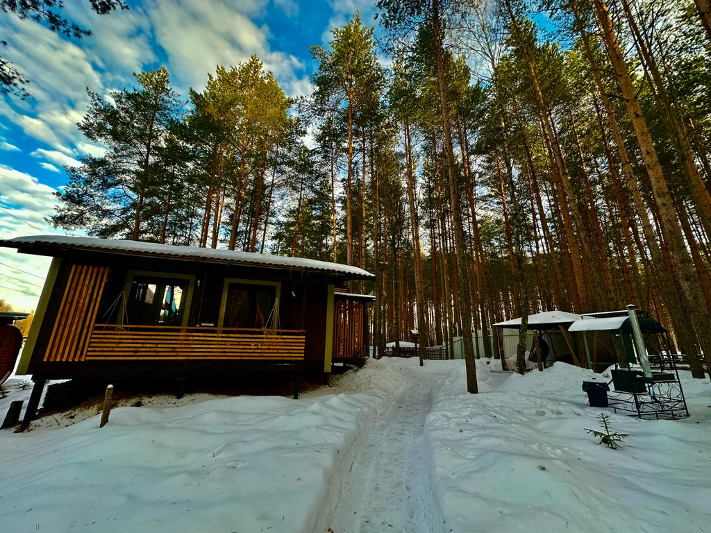 Шале в сосновом бору