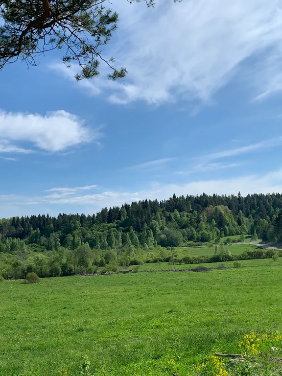 Хюгге микли