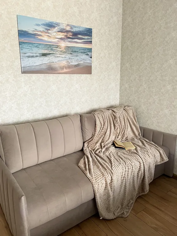 Квартира Светлая просторная однокомнатная квартира с индивидуальным отоплением — Ярославль