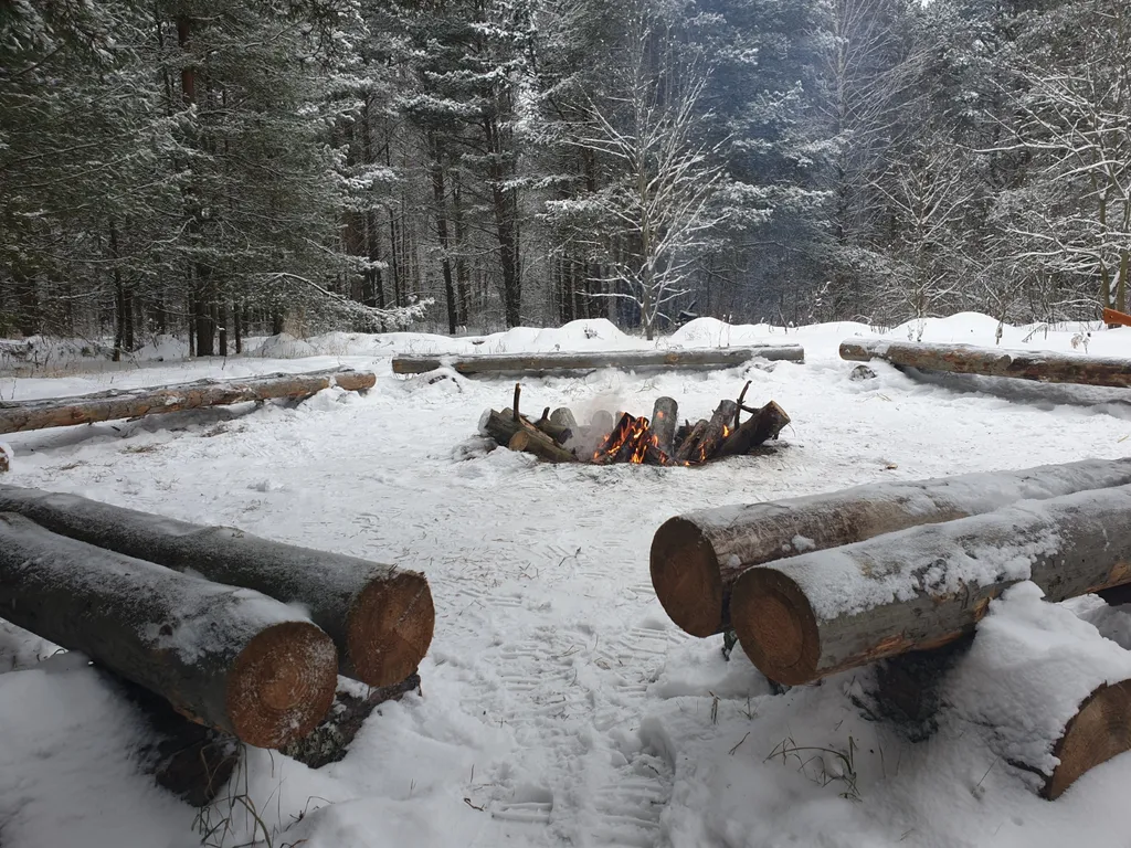 Шале Белые пески