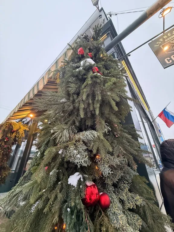 Выход из суеты - не дача Бобёр и Соловьи