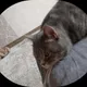 Петр