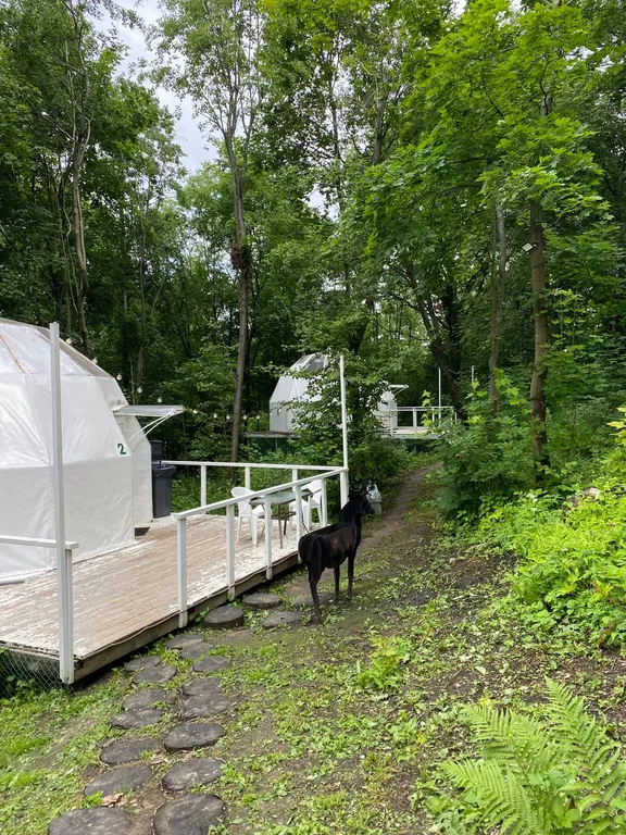 Коттедж Сфера "Семейная" с сибирсикм чаном — аренда посуточно в Дубки