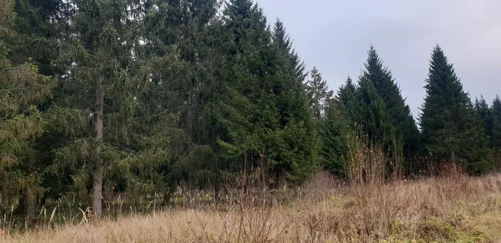 Уютный новый дом рядом с городом