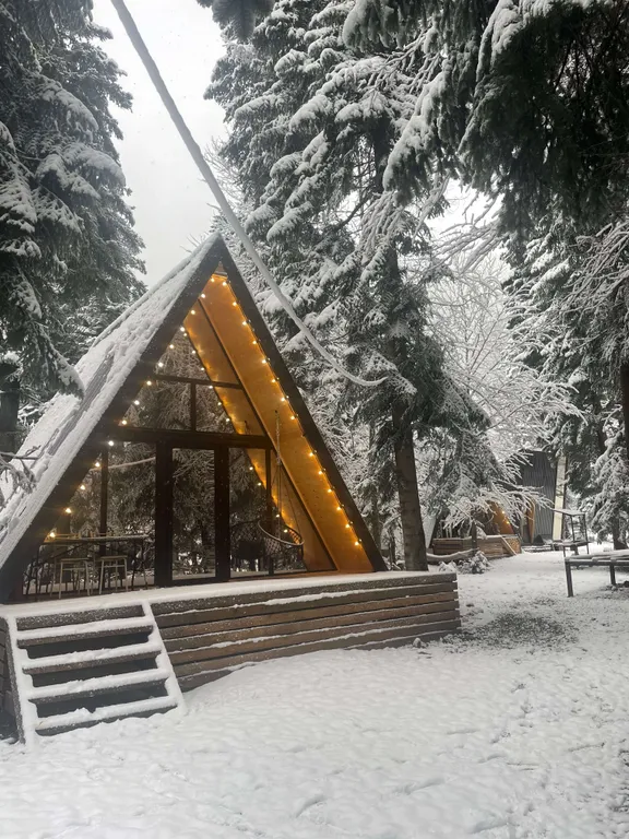 Коттедж А - фрейм — аренда посуточно в Архыз