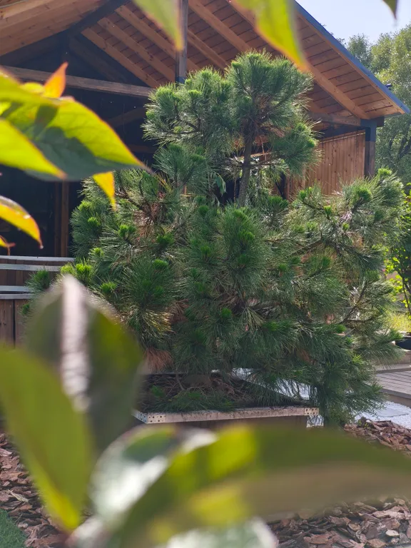 Барнхаус для отдыха у леса и реки