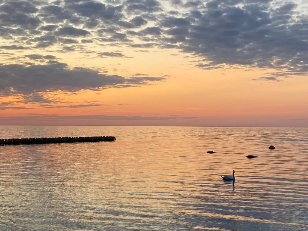 Квартира Квартира Новая атмосферная просторная — Светлогорск