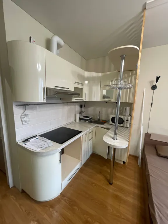 Уютна студия в Спутнике