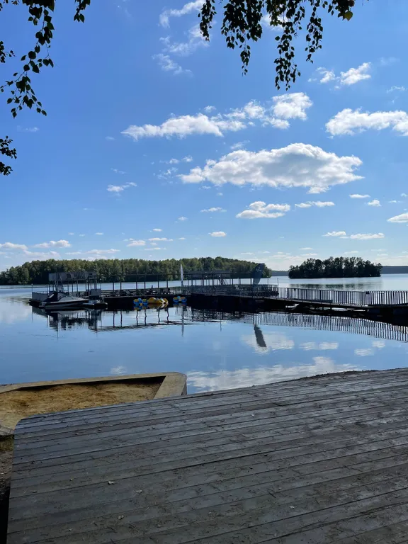 Апартамент в скандинавском парк-отеле Еловое