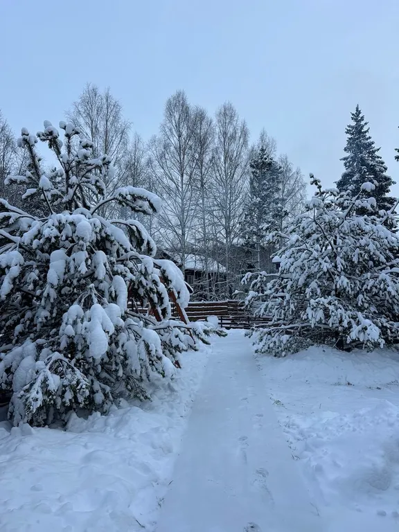 Уютный дом с чаном