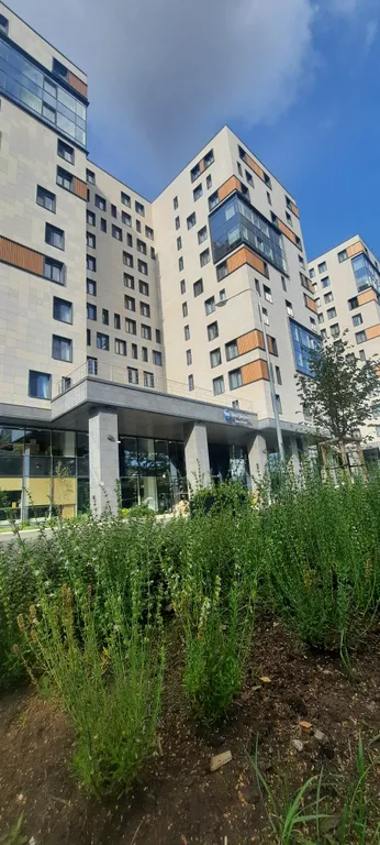 Квартира Уютные апартаменты на Чёрной речке — Санкт-Петербург