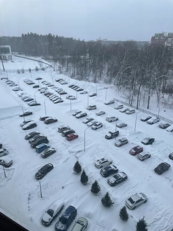 Уютная квартира рядом с лесом