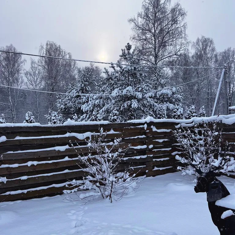 Барнхаус ЗИМА с подогреваемой купелью