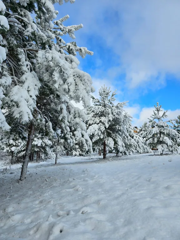 Благоустроенный стильный дом на 1 линии о.Селигер