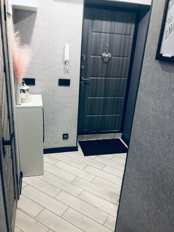 Отличная квартира-студия серый кот