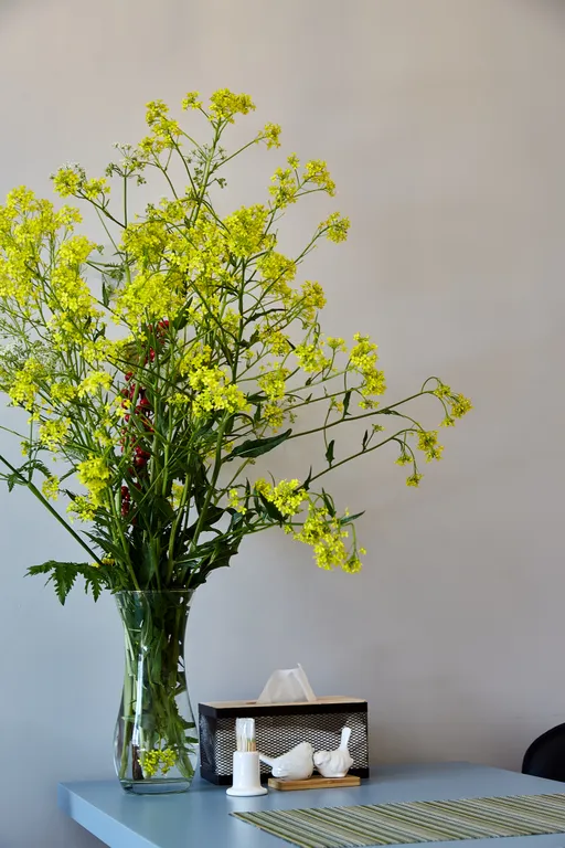 Квартира Квартира Студия в ретро стиле — Выборг