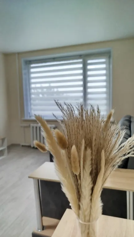 Уютная квартира с видом на горы и домашние вулканы