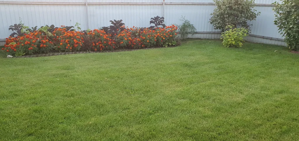 Домик в деревне