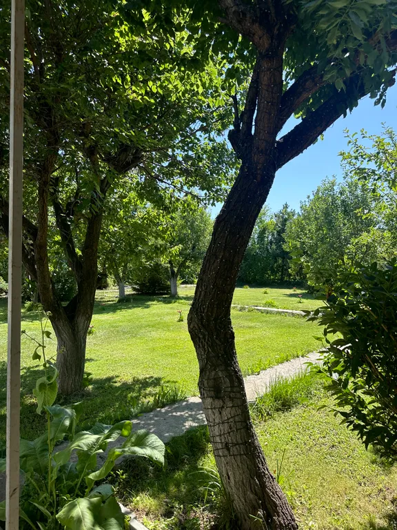 Континент - загородный оазис