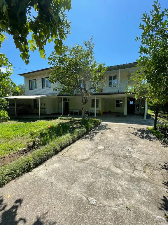 У тёти Шуры