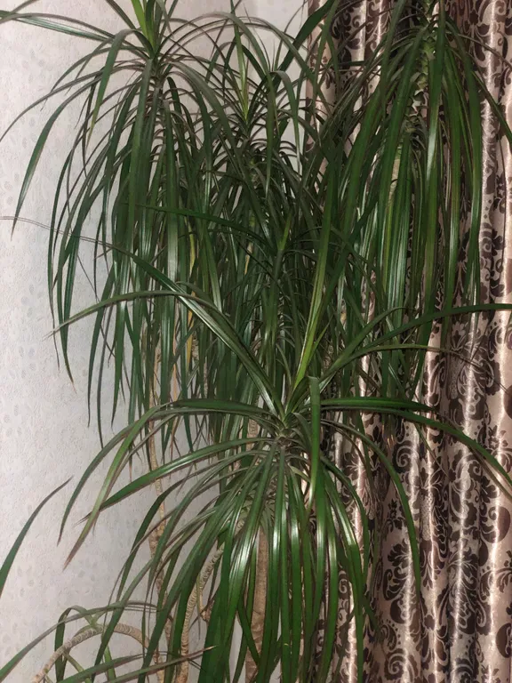 Апартаменты премиум класса