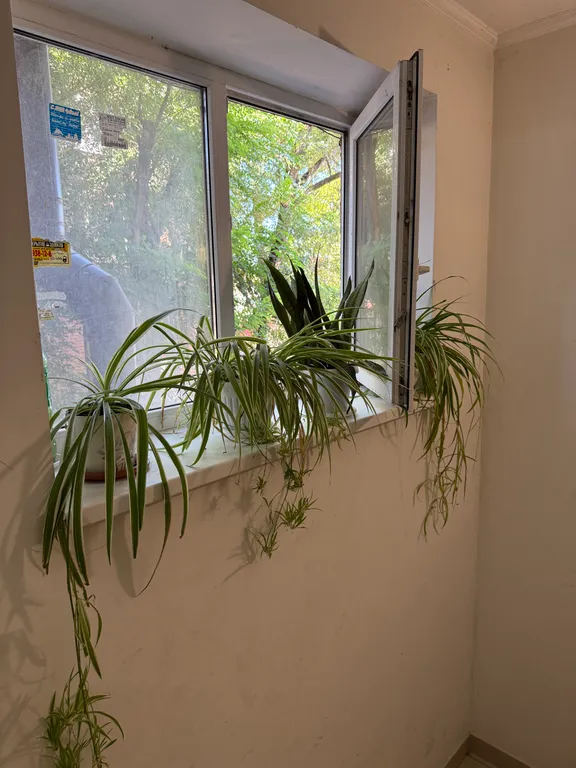 Студия в районе Нового Вокзала, 300 метров до моря и ТГПИ