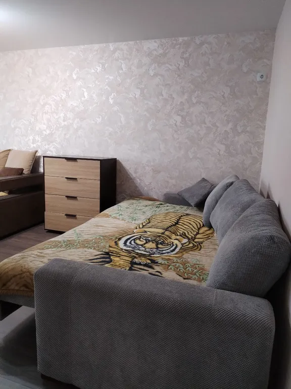 Квартира Уютная двухкомнатная квартира в исторической части курорта Шмаковка — Лесозаводск